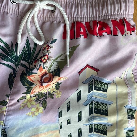 PACSUN Men’s Printed Havana Pink Bathing Swim Suit Size Small - Picture 9 of 12